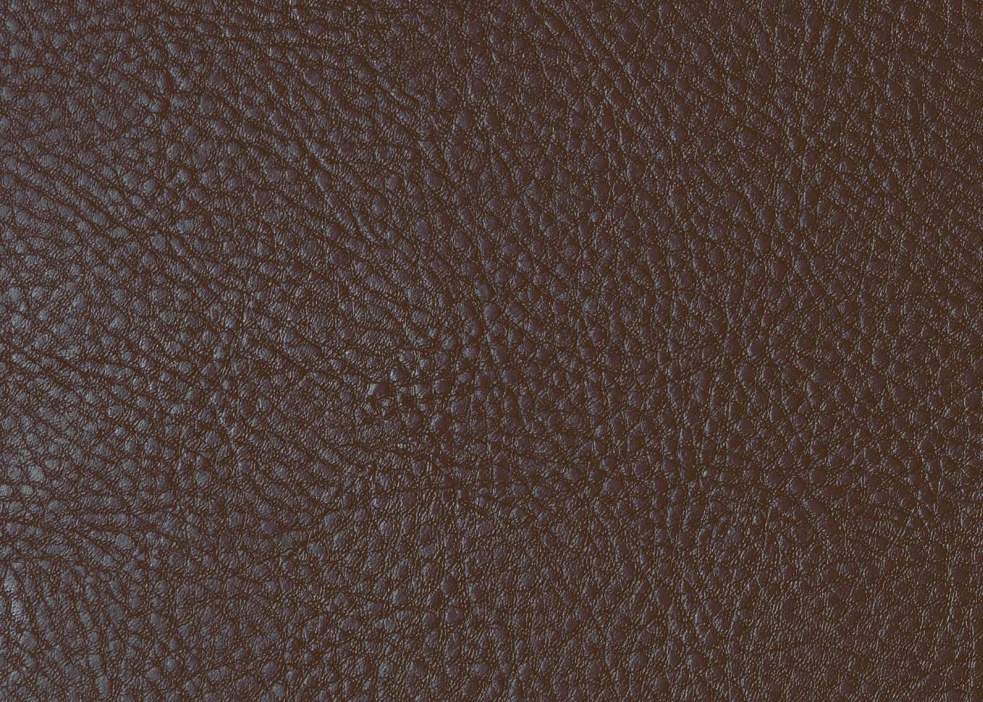 back_cover.jpg
