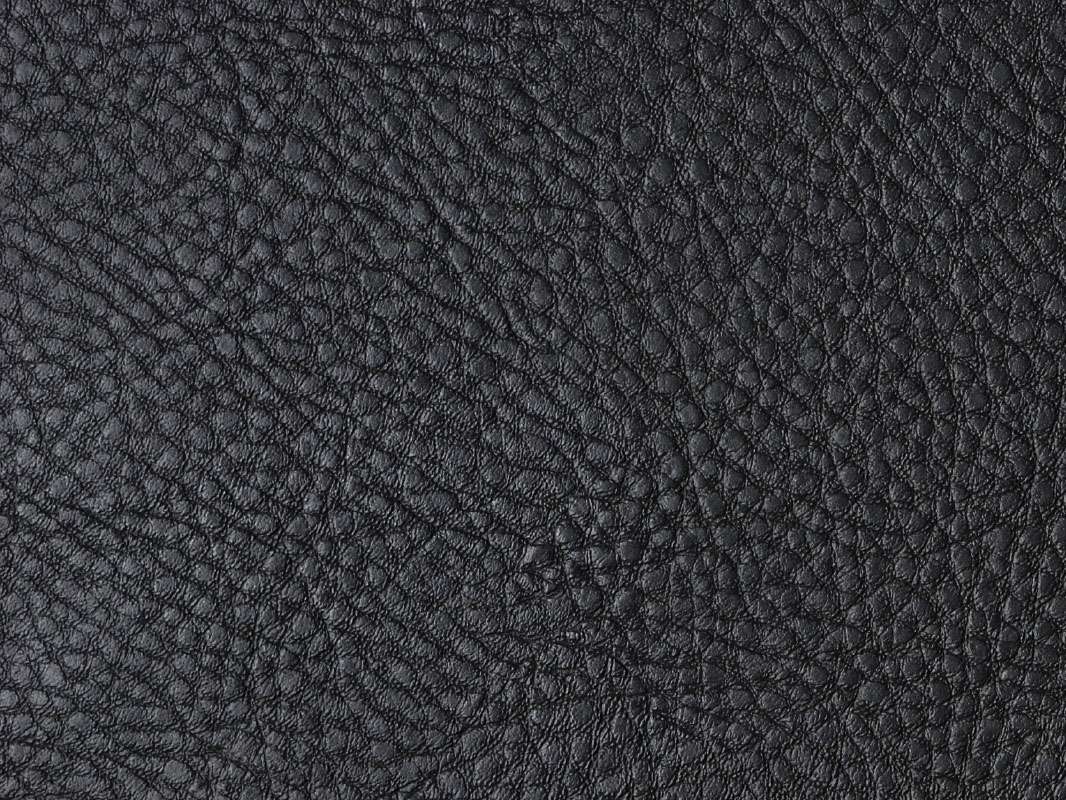 back_cover.jpg