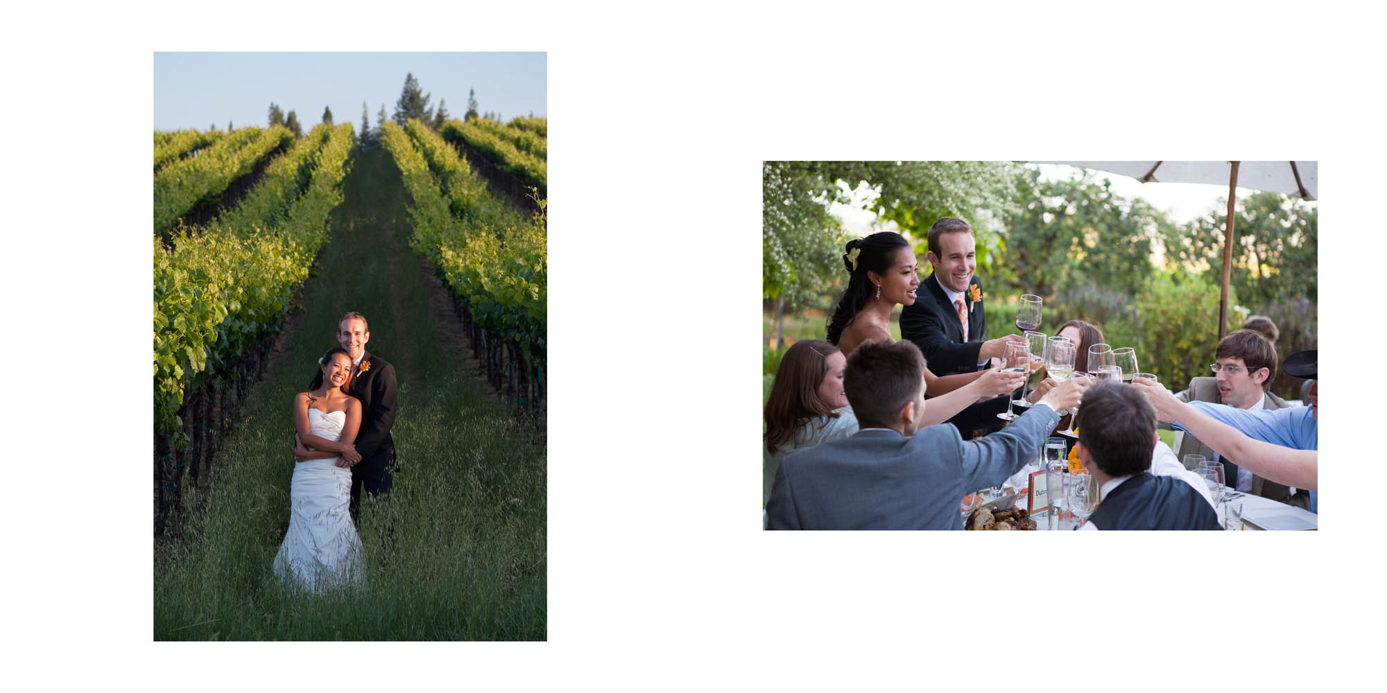 VineHill_035.jpg