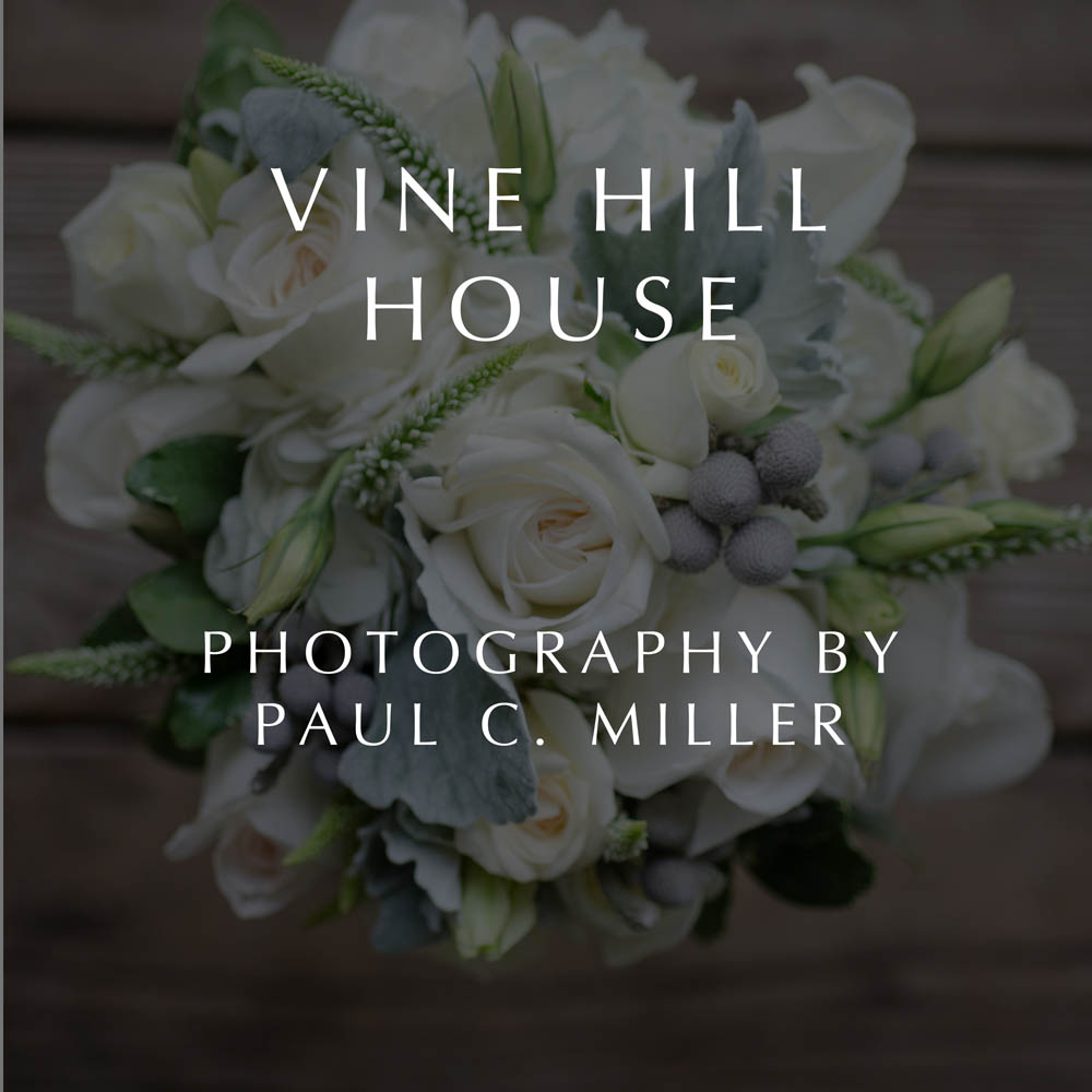 VineHill_001.jpg