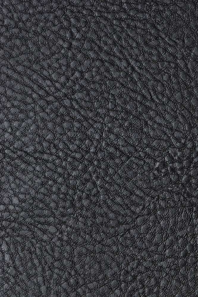 back_cover.jpg