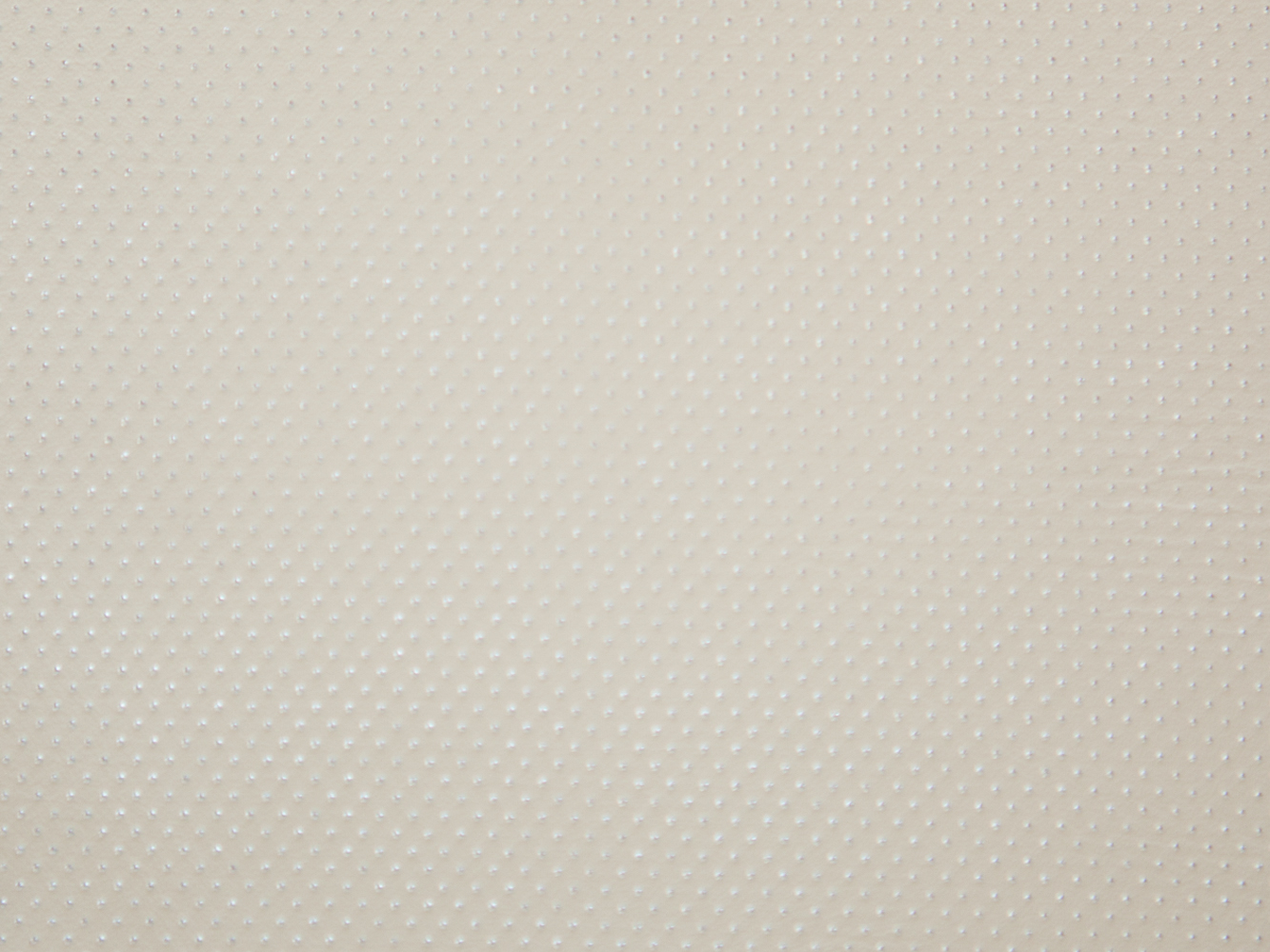 BackCover.jpg