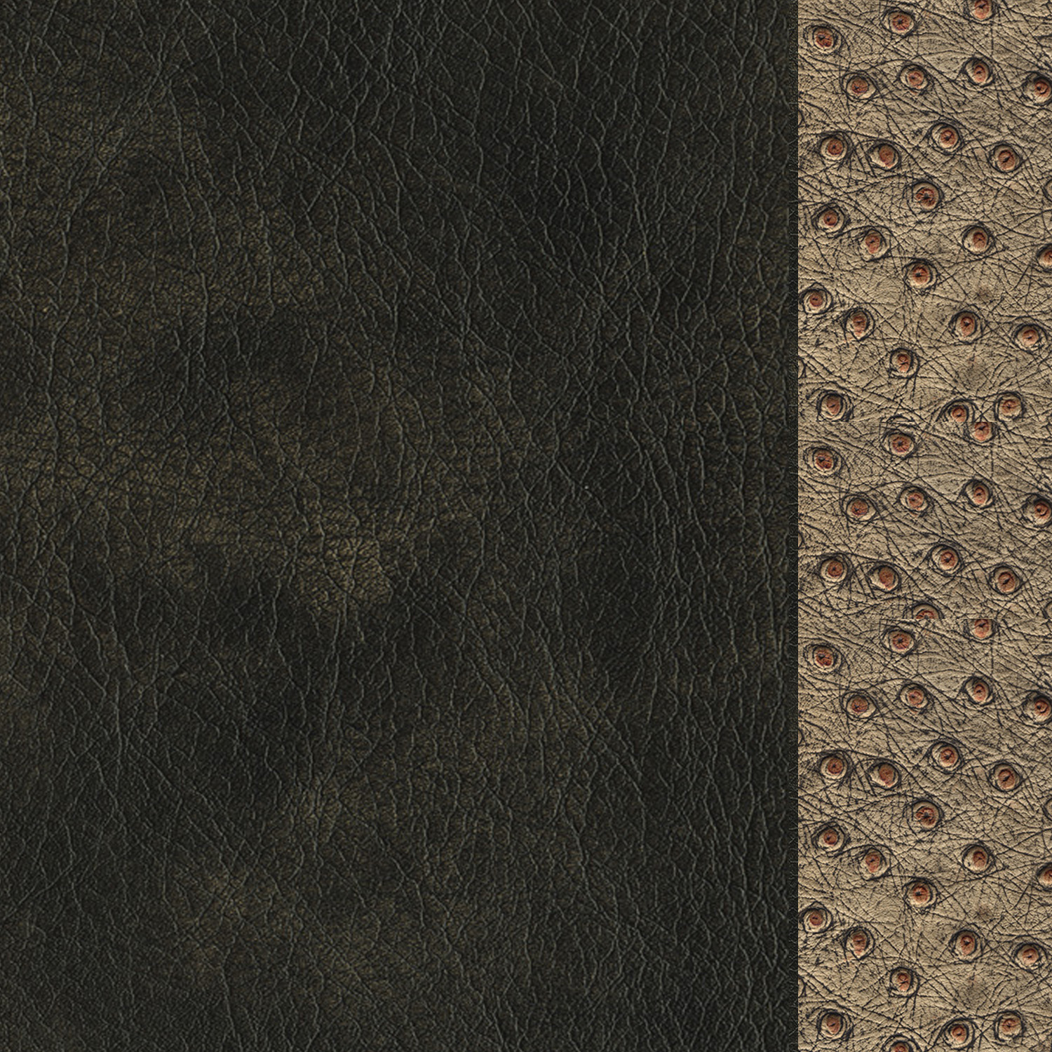 00_COVER back_web.jpg