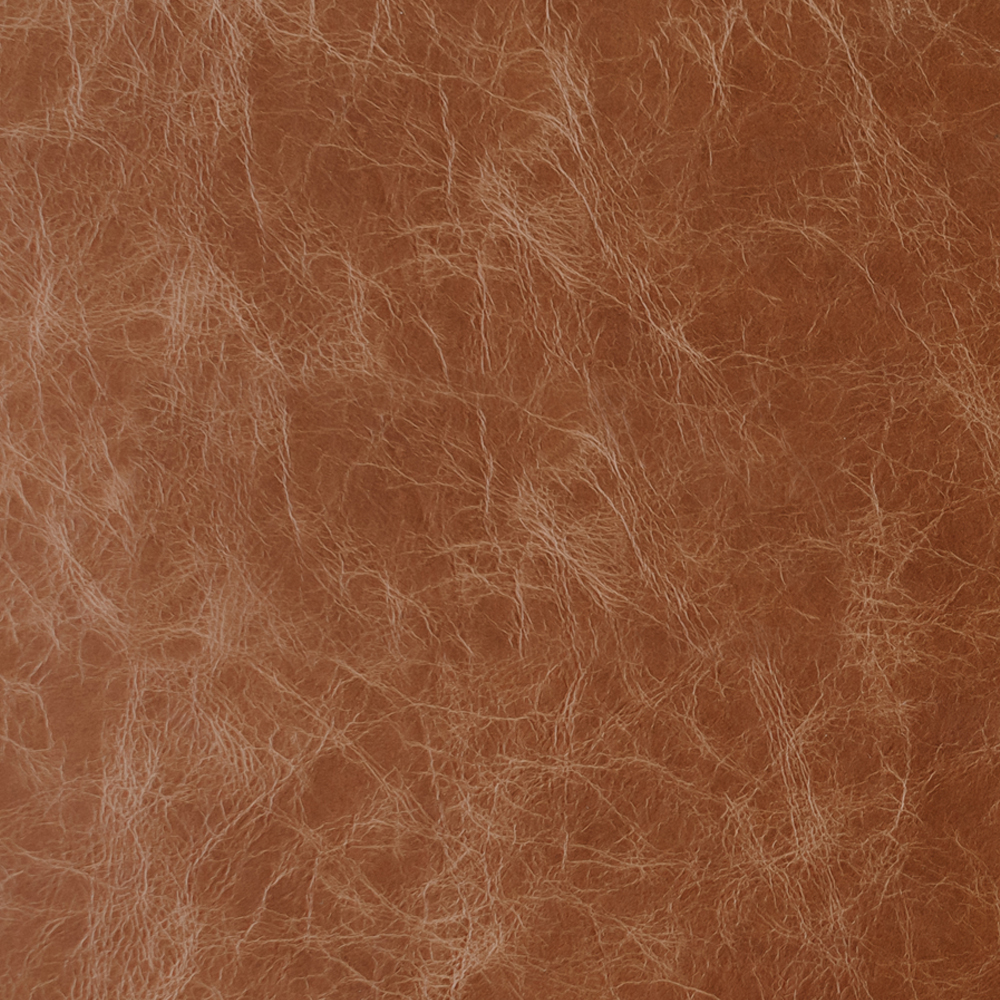 BackCover.jpg