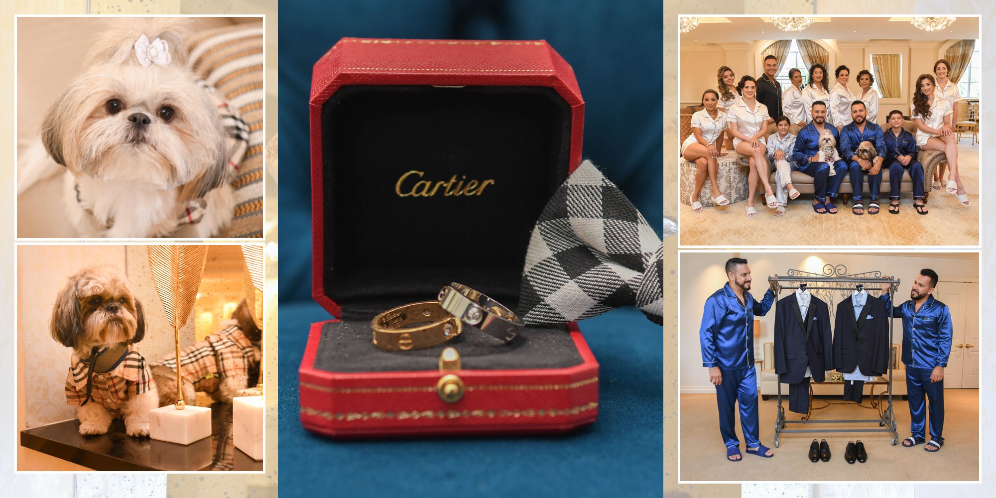 009-010.jpg